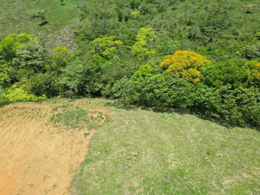 HERMOSO LOTE(1.36ACRES) EN EL CORAZÓN DE RISE,SANTA ELENA,PZ - Venta en Perez Zeledón, photo 10