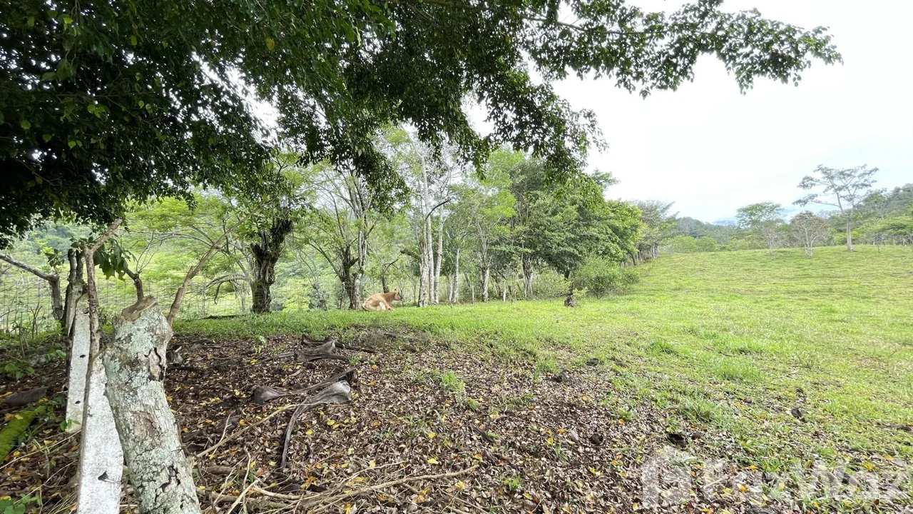 Land for Sale in Puriscal, San Jose for $325,000, photo 13