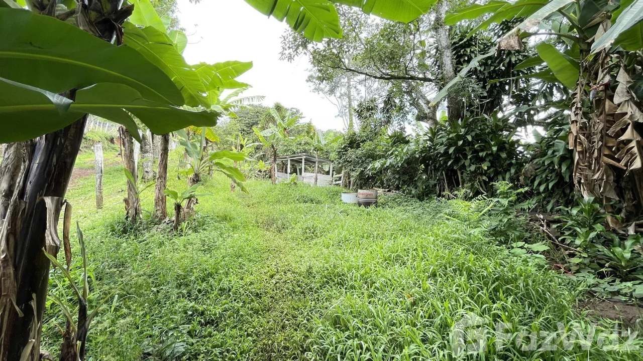 Land for Sale in Puriscal, San Jose for $325,000, photo 6