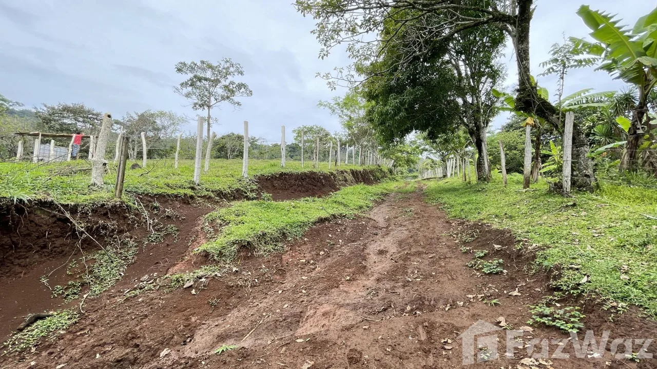 Land for Sale in Puriscal, San Jose for $325,000, photo 7