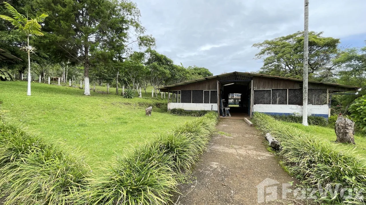 Land for Sale in Puriscal, San Jose for $325,000, photo 10