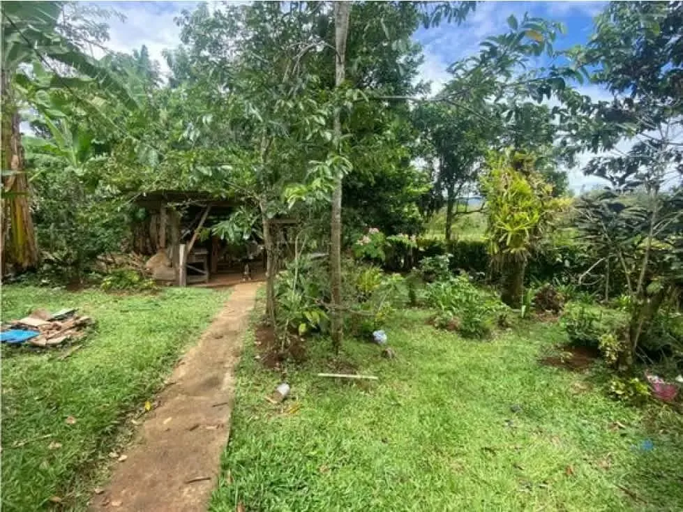 "Property sale with house and apartment ideal for remodeling or taking advantage of the ..., photo 11