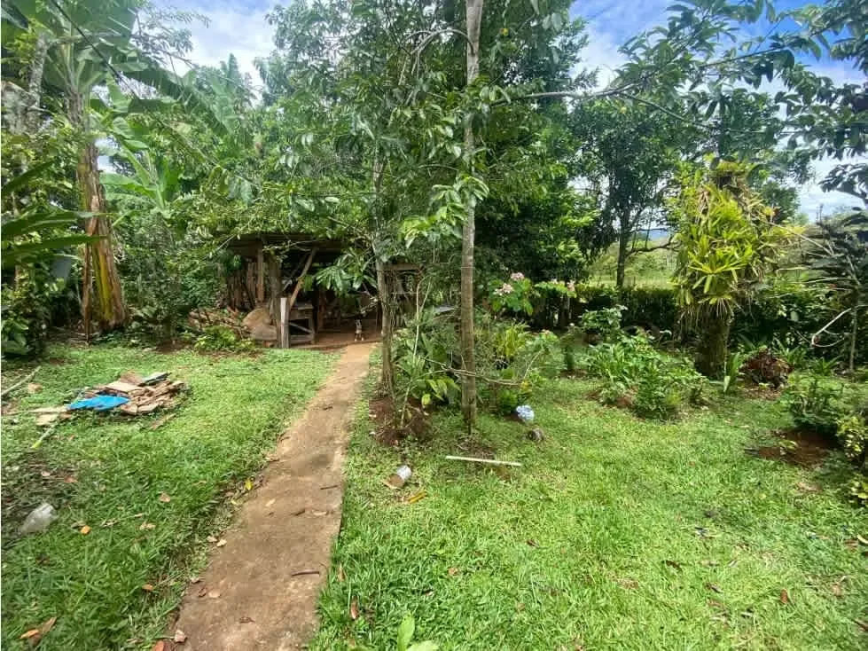 "Property sale with house and apartment ideal for remodeling or taking advantage of the ..., photo 3