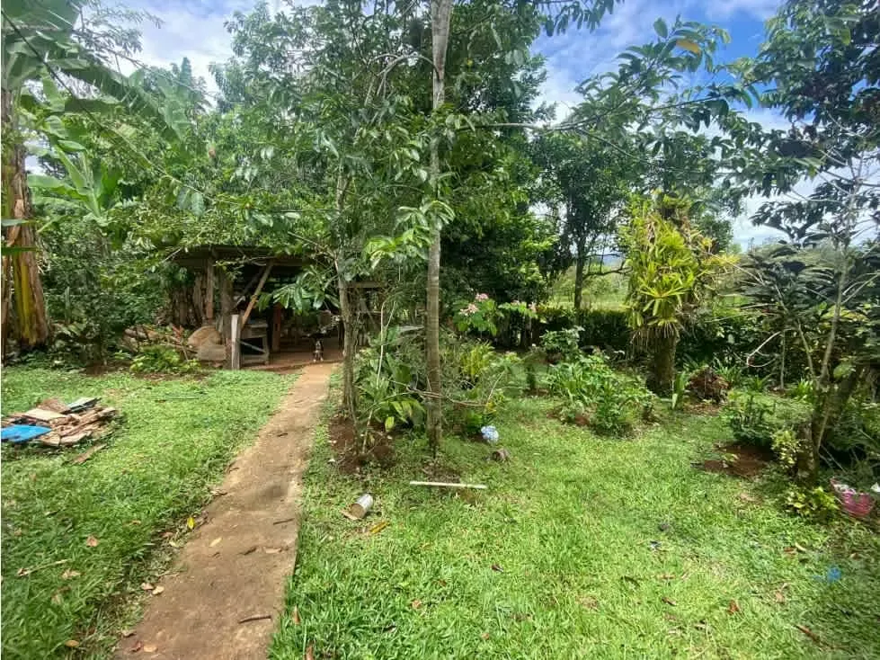 "Property sale with house and apartment ideal for remodeling or taking advantage of the ..., photo 6