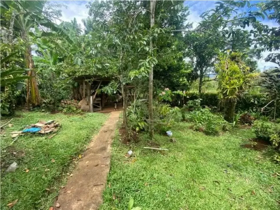 "Property sale with house and apartment ideal for remodeling or taking advantage of the ..., photo 10
