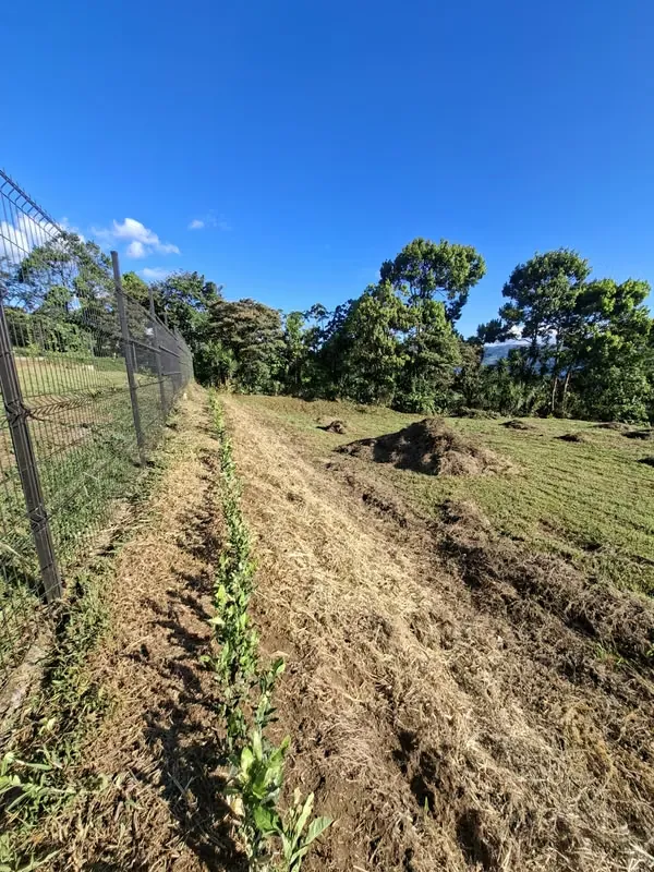 Located in one of the most spectacular areas of Costa Rica, this 2,605 m² lot offers a unique ..., photo 12