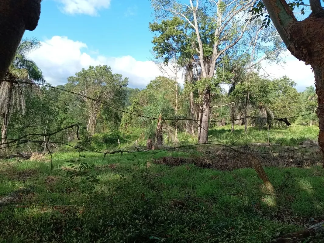 Finca con un área de 10 hectáreas de pura belleza natural, con una topografía plana y suaves ondulaciones, ideal para explorar y ..., photo 3