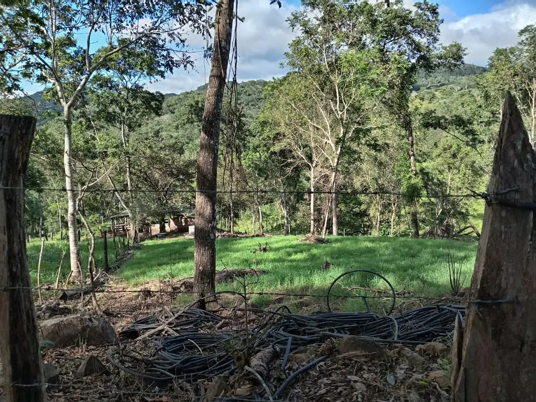 Finca con un área de 10 hectáreas de pura belleza natural, con una topografía plana y suaves ondulaciones, ideal para explorar y ..., photo 5