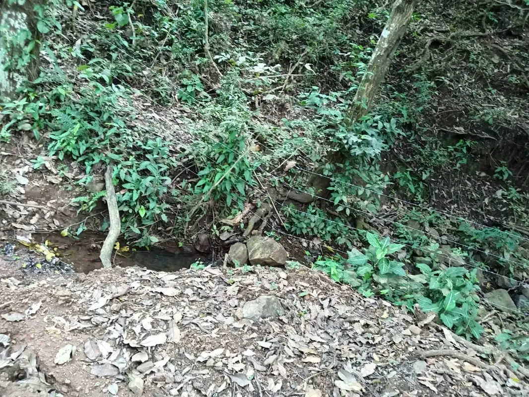 Finca con un área de 10 hectáreas de pura belleza natural, con una topografía plana y suaves ondulaciones, ideal para explorar y ..., photo 8