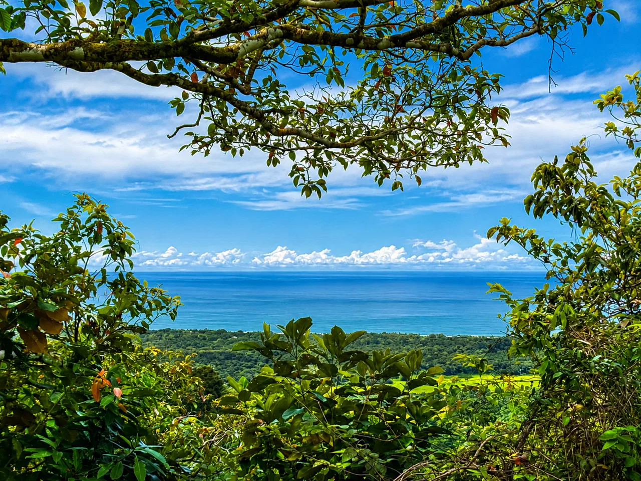 Breathtaking Ocean View Farm Near Playa Linda - Year-Round Sunsets
