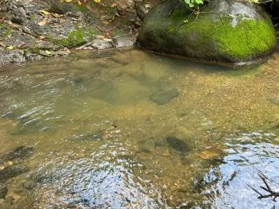 Lote frente al río en un barrio codiciado de Uvita., photo 3