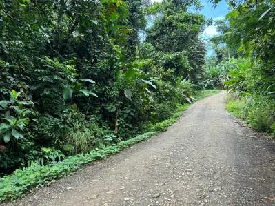 Lote frente al río en un barrio codiciado de Uvita., photo 4