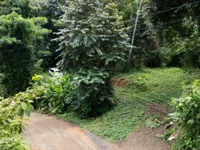 Lote frente al río en un barrio codiciado de Uvita., photo 7