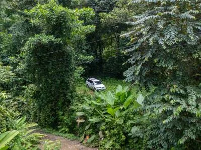 Lote frente al río en un barrio codiciado de Uvita., photo 10