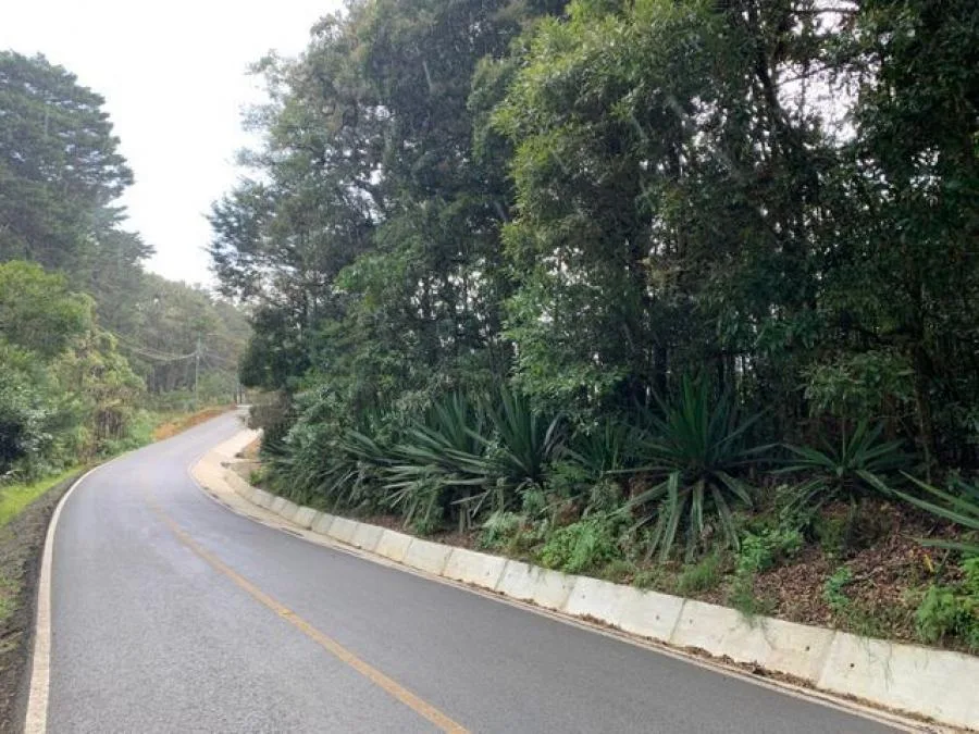 Venta de Lote en Dota, San José. - Venta en Dota