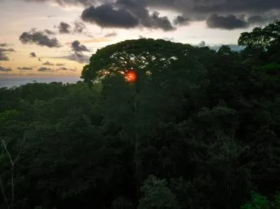 15,9 acres de terreno mayormente utilizable con vista al mar en Uvita, photo 9