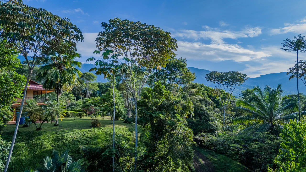 TWO FLOOR PROPERTY WITH LANDSCAPING VIEWS, IN TORTUGA ABAJO – 0.7 ACRES, photo 22