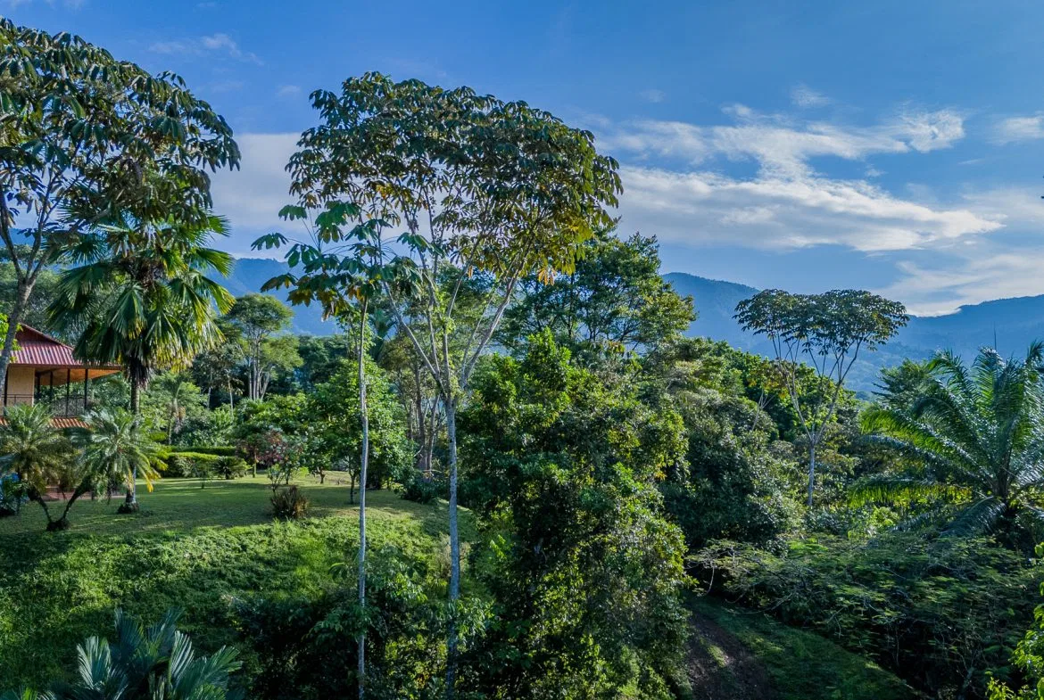 TWO FLOOR PROPERTY WITH LANDSCAPING VIEWS, IN TORTUGA ABAJO – 0.7 ACRES, photo 23