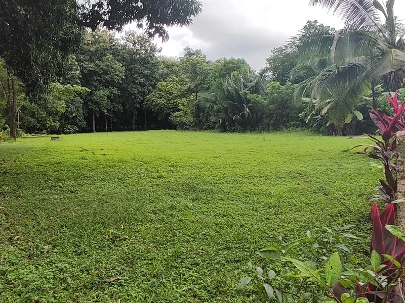 Land For Sale in Playa Coyote, photo 2