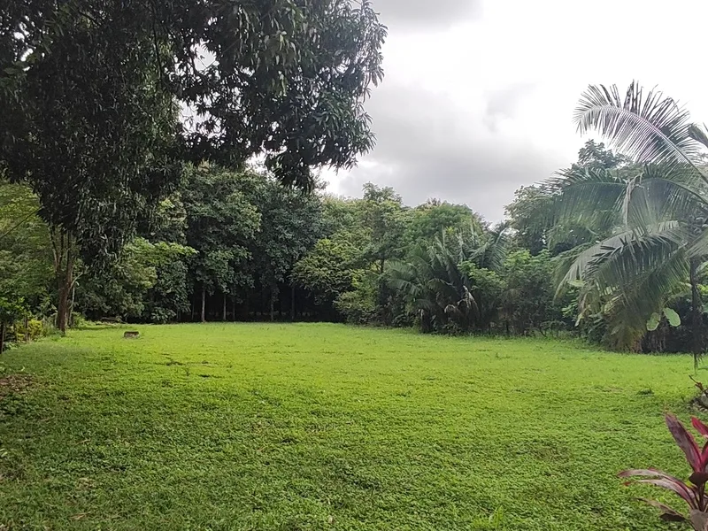 Land For Sale in Playa Coyote, photo 3