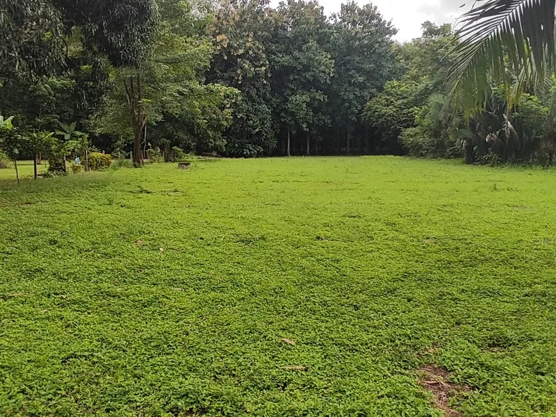 Land For Sale in Playa Coyote, photo 4