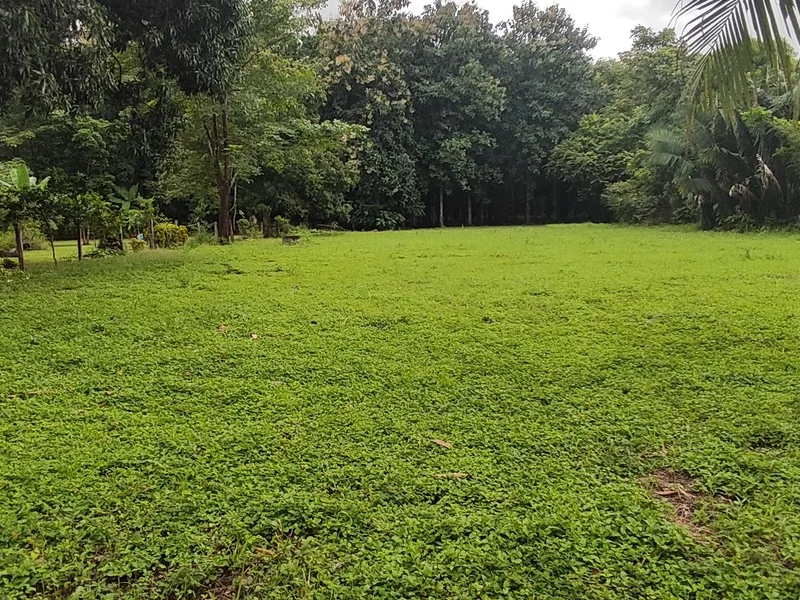Land For Sale in Playa Coyote, photo 5
