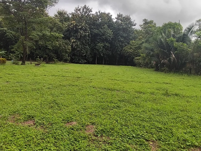 Land For Sale in Playa Coyote, photo 6