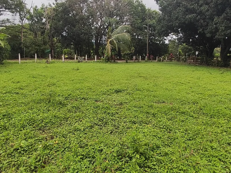 Land For Sale in Playa Coyote, photo 8