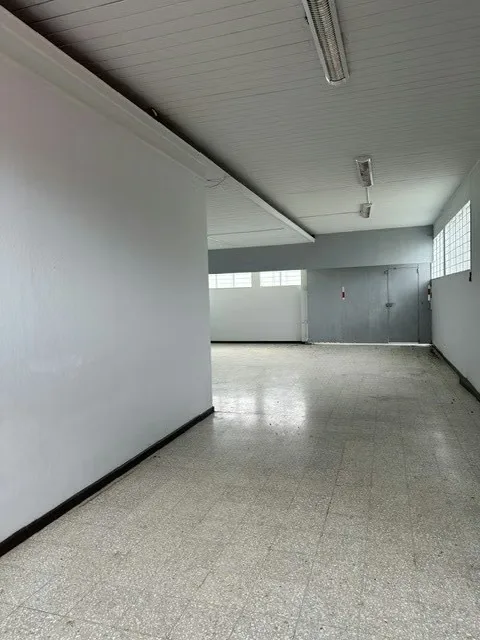 Esta hermosa casa con apartamento incluido en Barrio La Granja, San Pedro, Montes de Oca abarca 846 m2 de terreno con un frente de 37m2., photo 14