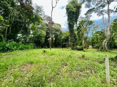 "Lote Residencial de Primer Nivel en Playa Negra, PV: Construya la Casa de Sus Sueños en Paraíso!"