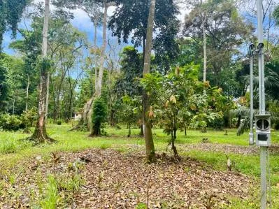 "Lote Residencial de Primer Nivel en Playa Negra, PV: Construya la Casa de Sus Sueños en Paraíso!", photo 2