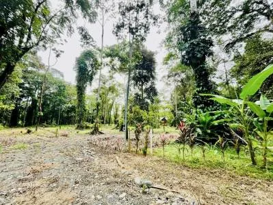 "Lote Residencial de Primer Nivel en Playa Negra, PV: Construya la Casa de Sus Sueños en Paraíso!", photo 7