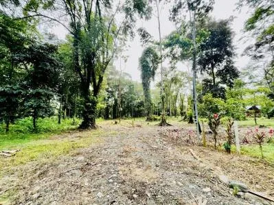 "Lote Residencial de Primer Nivel en Playa Negra, PV: Construya la Casa de Sus Sueños en Paraíso!", photo 8