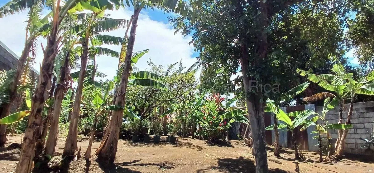 Venta lote uso mixto con alto potencial comercial e inversión #26-1495 GS - Venta en Santo Domingo