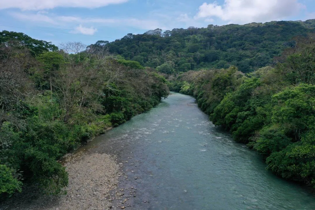 PROPERTY NEAR THE RIVER DOMINICAL – 0.38 ACRES, photo 3