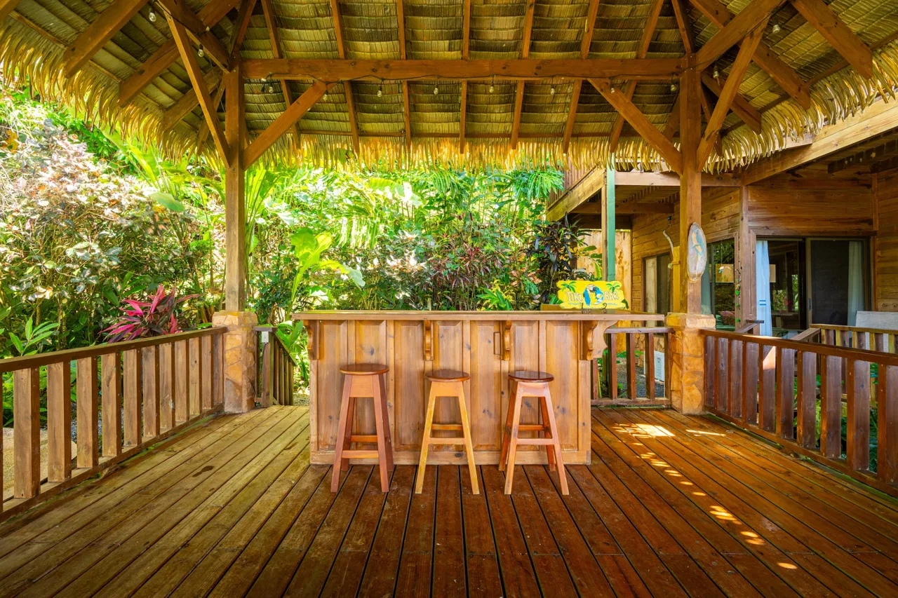 VILLA KRISTINA MOUNTAIN PROPERTY WITH OCEAN VIEWS AND A GUEST HOUSE, IN BALLENA – 3.8 ACRES, photo 23