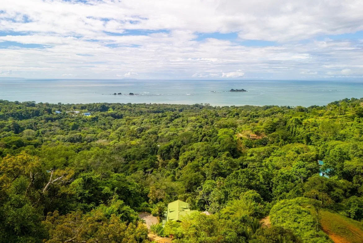 VILLA KRISTINA MOUNTAIN PROPERTY WITH OCEAN VIEWS AND A GUEST HOUSE, IN BALLENA – 3.8 ACRES, photo 4