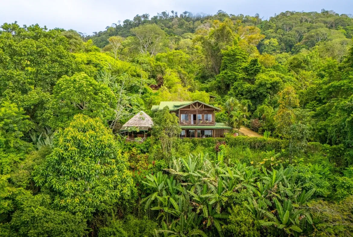 VILLA KRISTINA MOUNTAIN PROPERTY WITH OCEAN VIEWS AND A GUEST HOUSE, IN BALLENA – 3.8 ACRES, photo 6