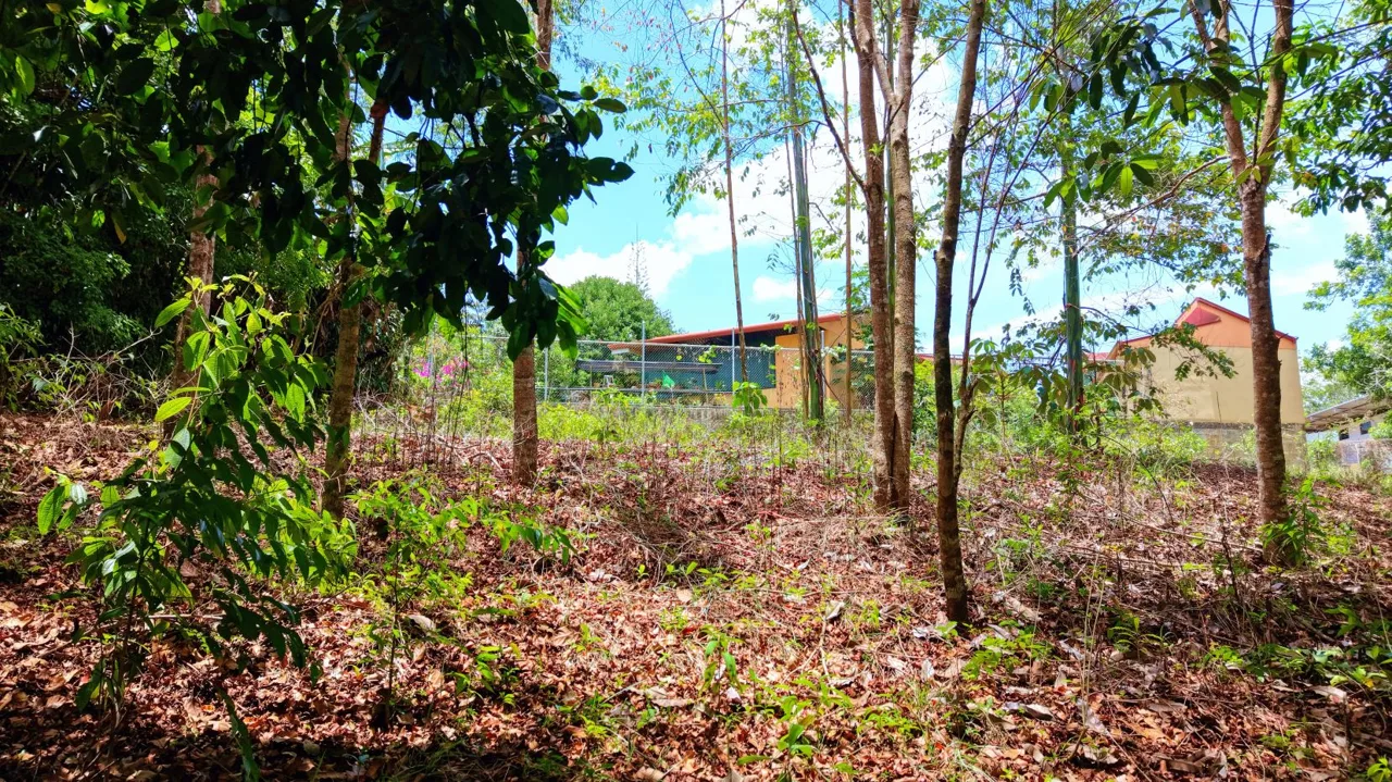 2,580 m² lot for sale in Pedregoso, Calle Calallo, Pérez Zeledón, Costa Rica, strategically located just 1 km from the main access., photo 9