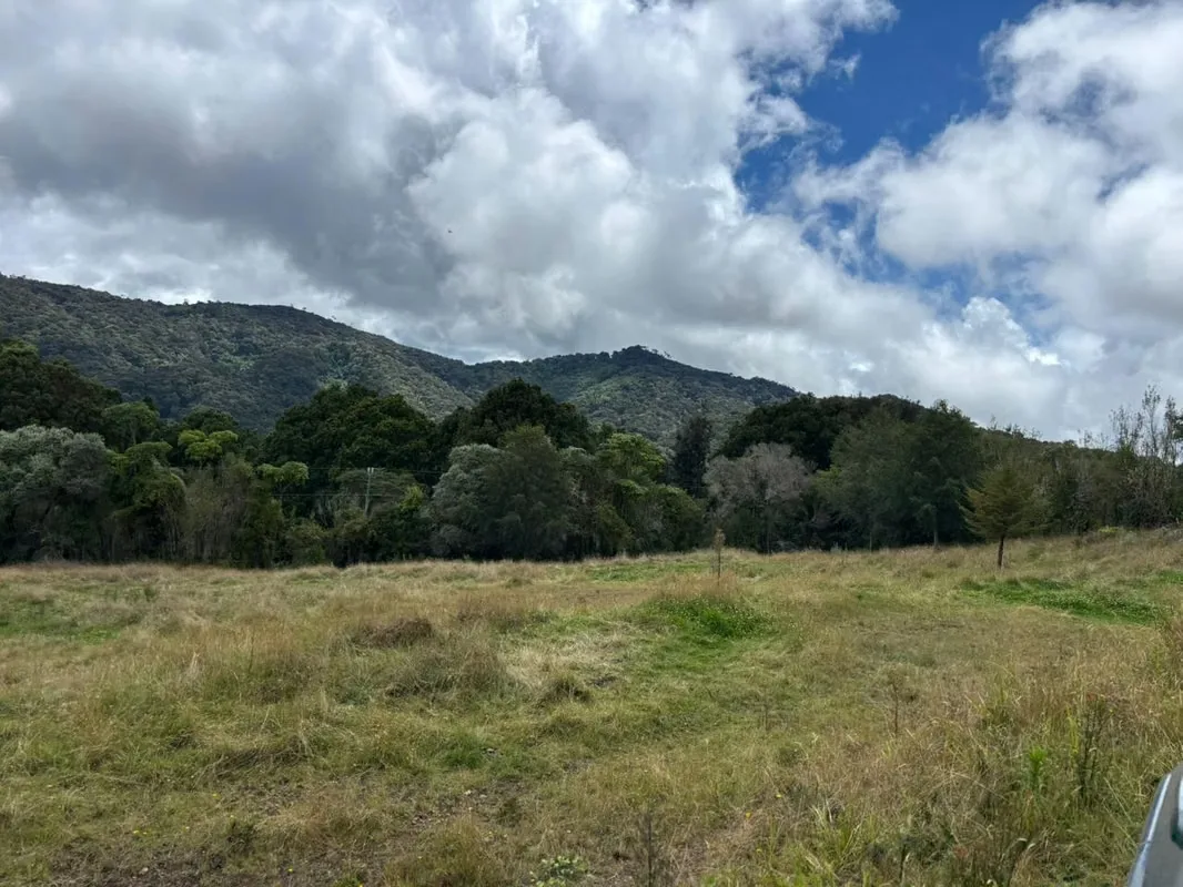 INCREIBLES TERRENOS DE MONTAÑA , BOSQUE SECUNDARIO DE ALTURA TIPO PARAMO.
