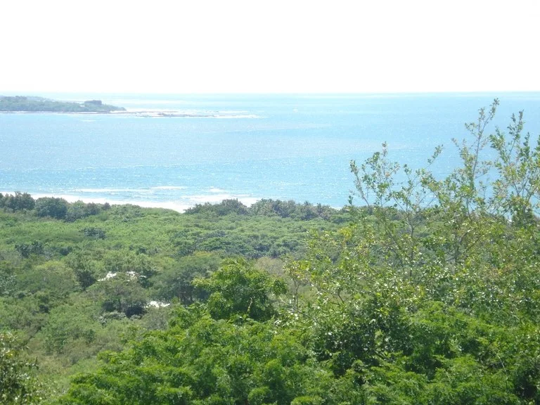 Development Parcel in Matapalo