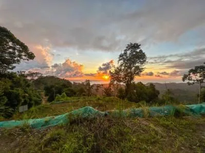 Vistas del atardecer todo el año | 3 lotes conectados listos para construir, photo 8