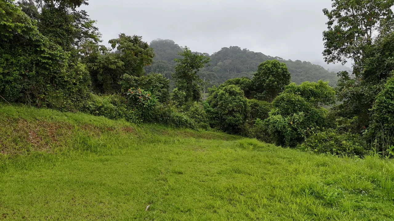 MOUNTAIN BUILDING PROPERTY WITH OCEAN VIEWS, IN TRES RIOS – 2.27 ACRES, photo 13