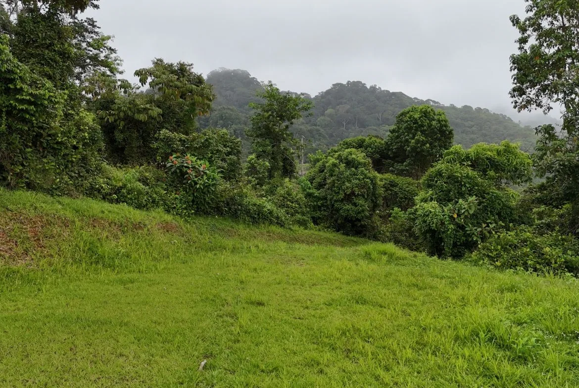 MOUNTAIN BUILDING PROPERTY WITH OCEAN VIEWS, IN TRES RIOS – 2.27 ACRES, photo 14