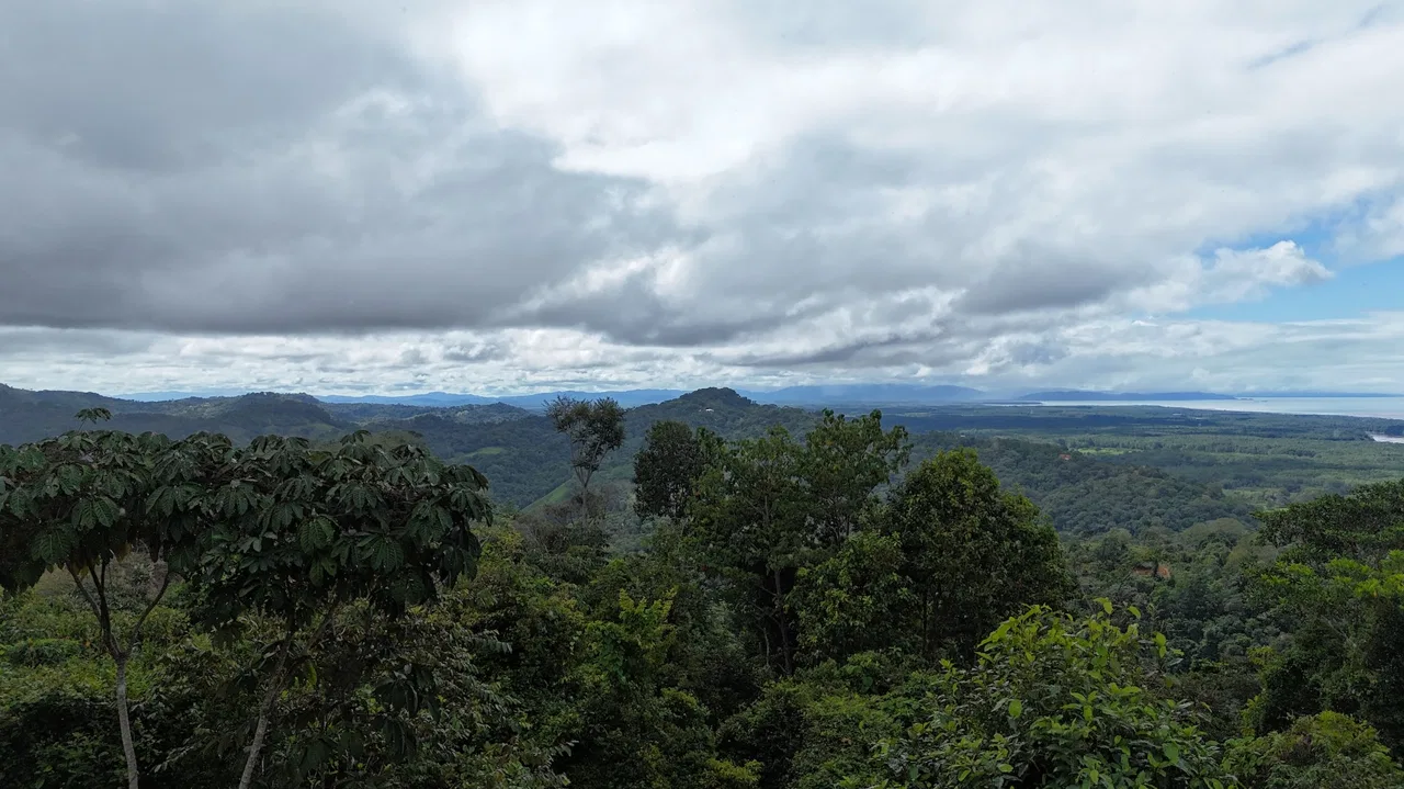 MOUNTAIN BUILDING PROPERTY WITH OCEAN VIEWS, IN TRES RIOS – 2.27 ACRES, photo 23
