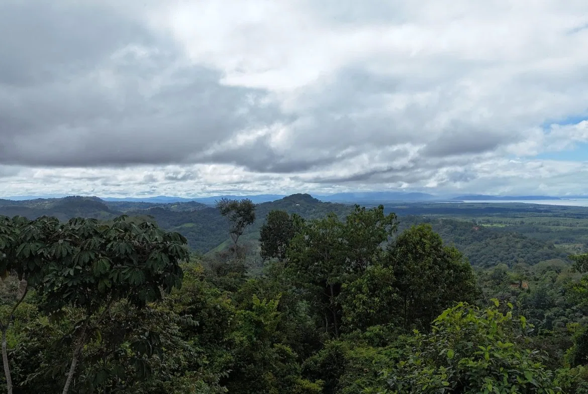MOUNTAIN BUILDING PROPERTY WITH OCEAN VIEWS, IN TRES RIOS – 2.27 ACRES, photo 24