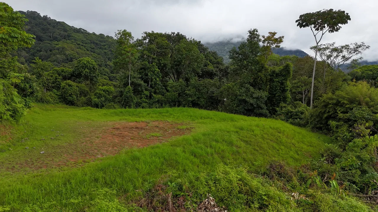 MOUNTAIN BUILDING PROPERTY WITH OCEAN VIEWS, IN TRES RIOS – 2.27 ACRES, photo 7