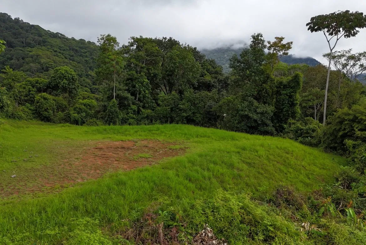 MOUNTAIN BUILDING PROPERTY WITH OCEAN VIEWS, IN TRES RIOS – 2.27 ACRES, photo 8