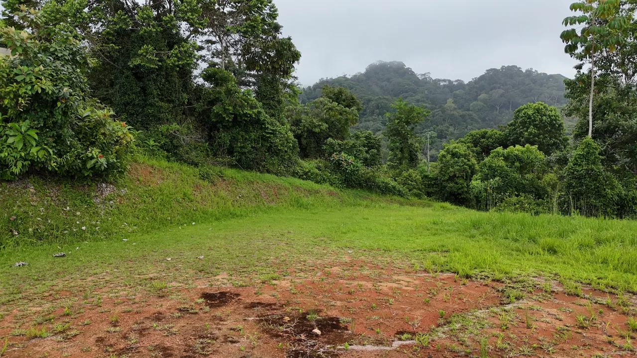 MOUNTAIN BUILDING PROPERTY WITH OCEAN VIEWS, IN TRES RIOS – 2.27 ACRES, photo 9