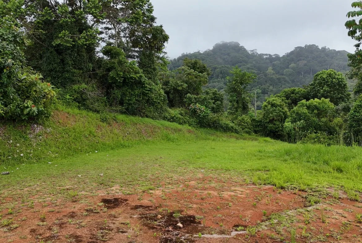 MOUNTAIN BUILDING PROPERTY WITH OCEAN VIEWS, IN TRES RIOS – 2.27 ACRES, photo 10